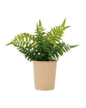 Faux Paper Pot Fern