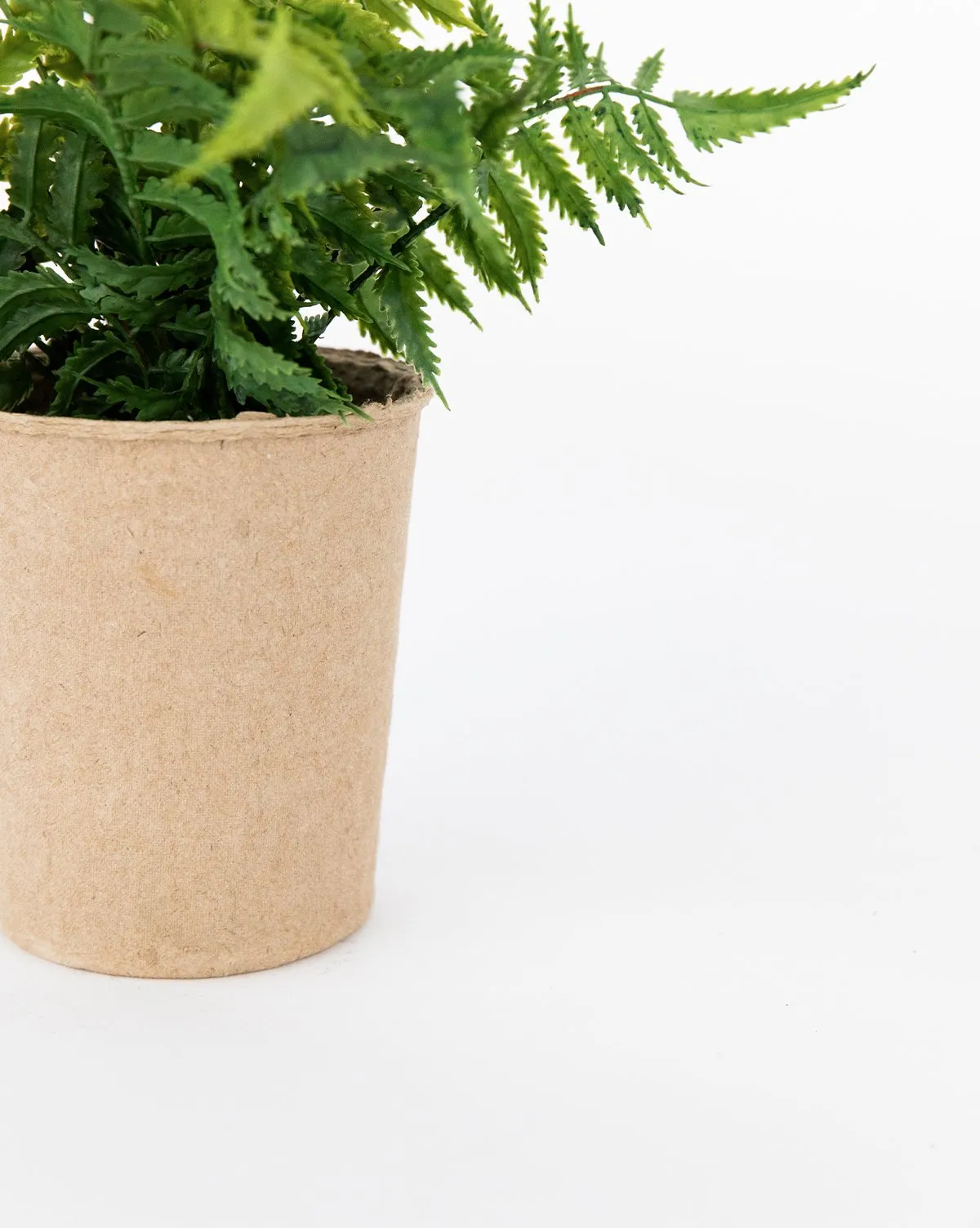 Faux Paper Pot Fern