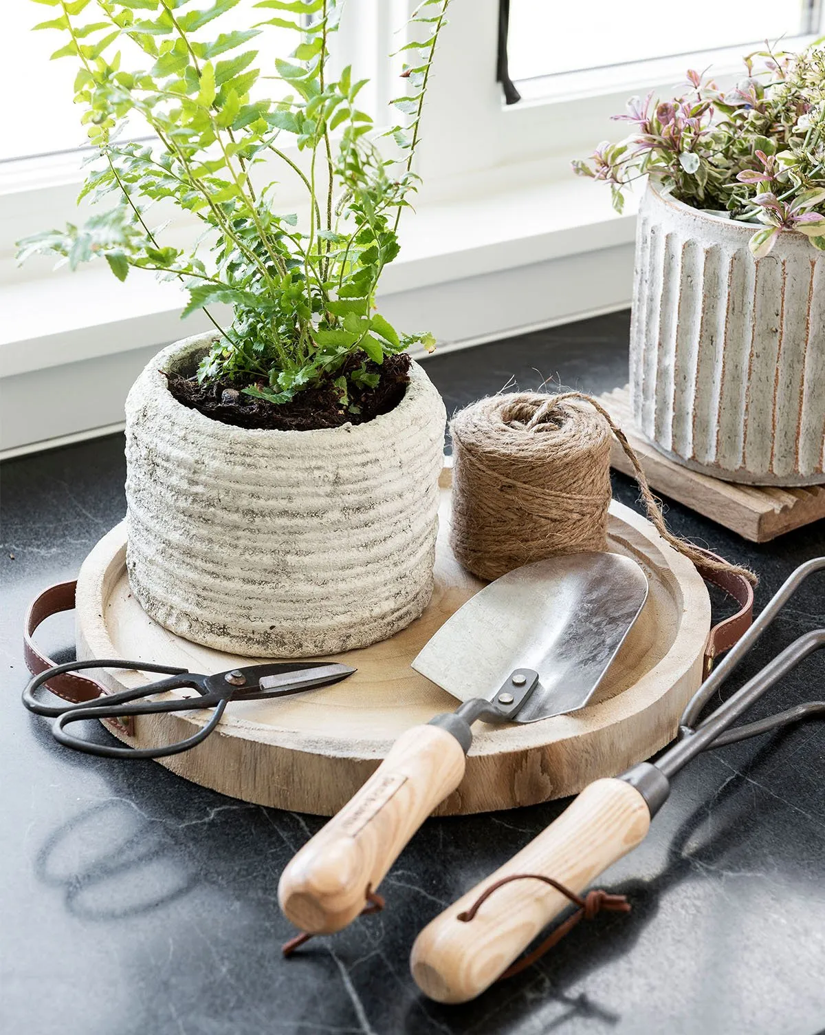 Grotto Planter