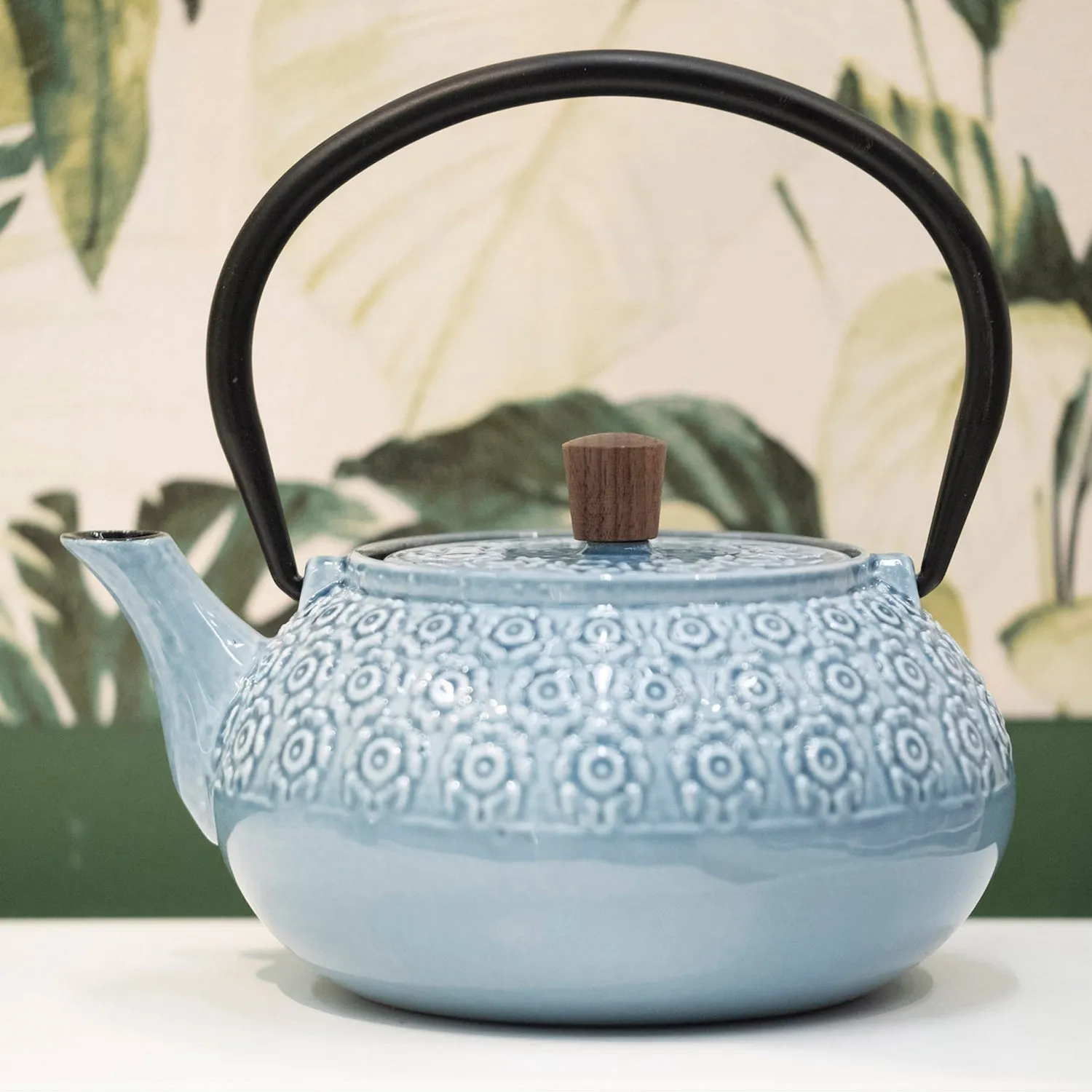 Minimal Enamelled Cast Iron Teapot