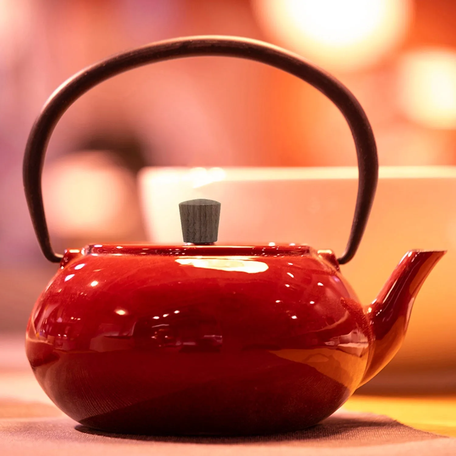 Minimal Enamelled Cast Iron Teapot