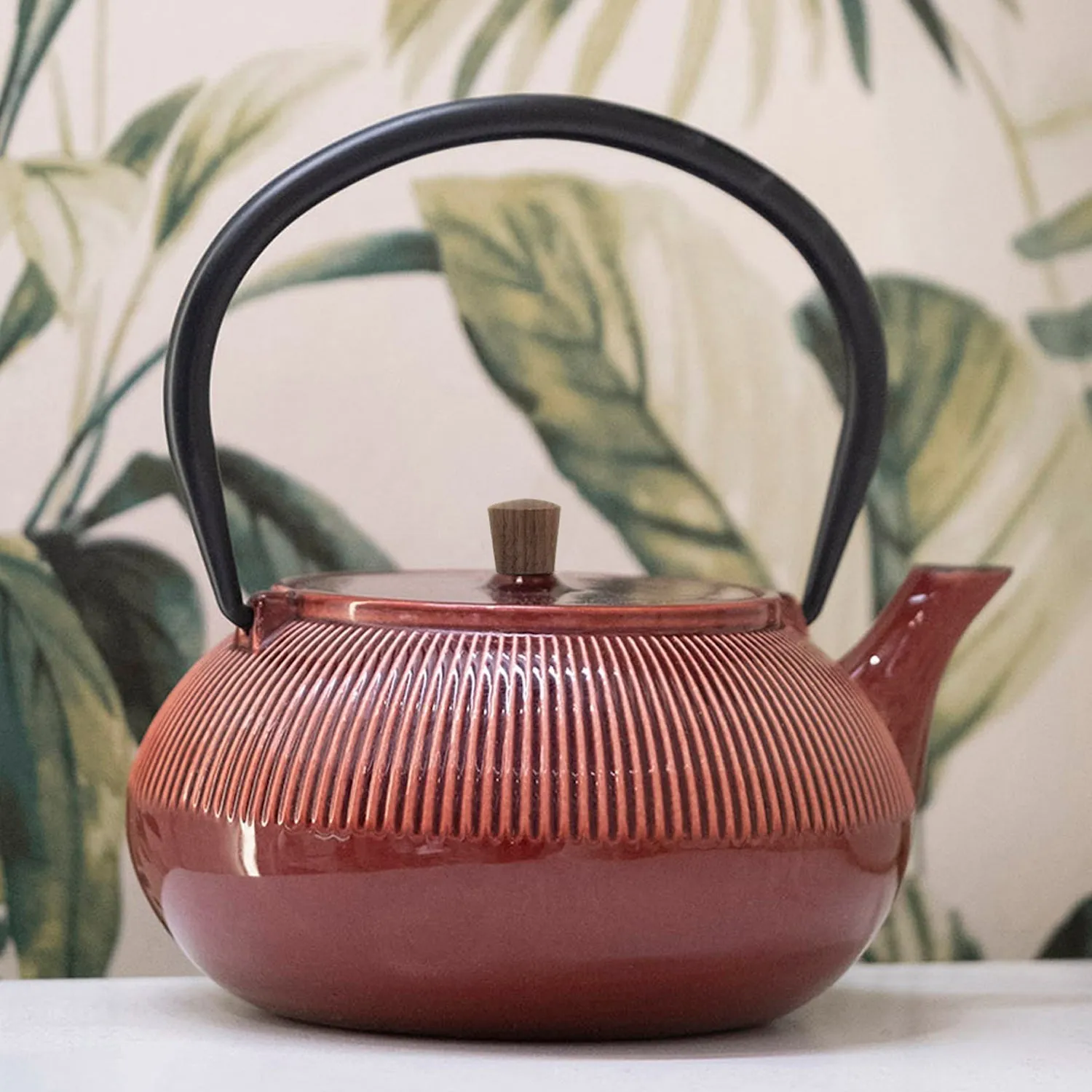 Minimal Enamelled Cast Iron Teapot