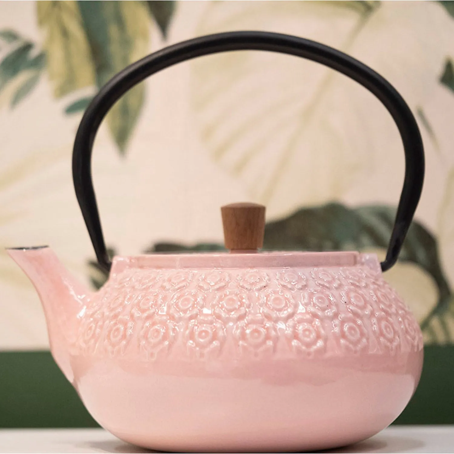 Minimal Enamelled Cast Iron Teapot