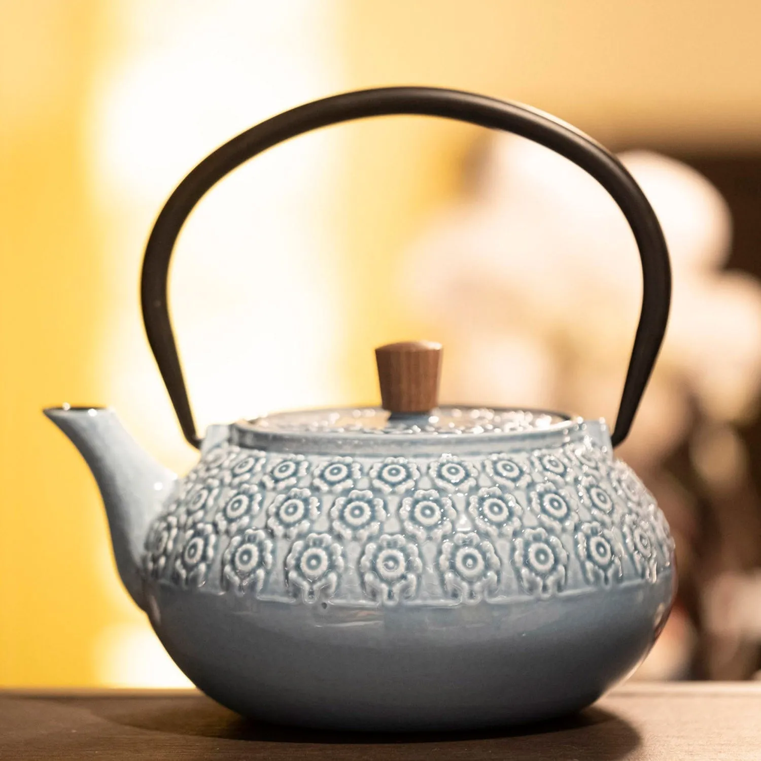 Minimal Enamelled Cast Iron Teapot