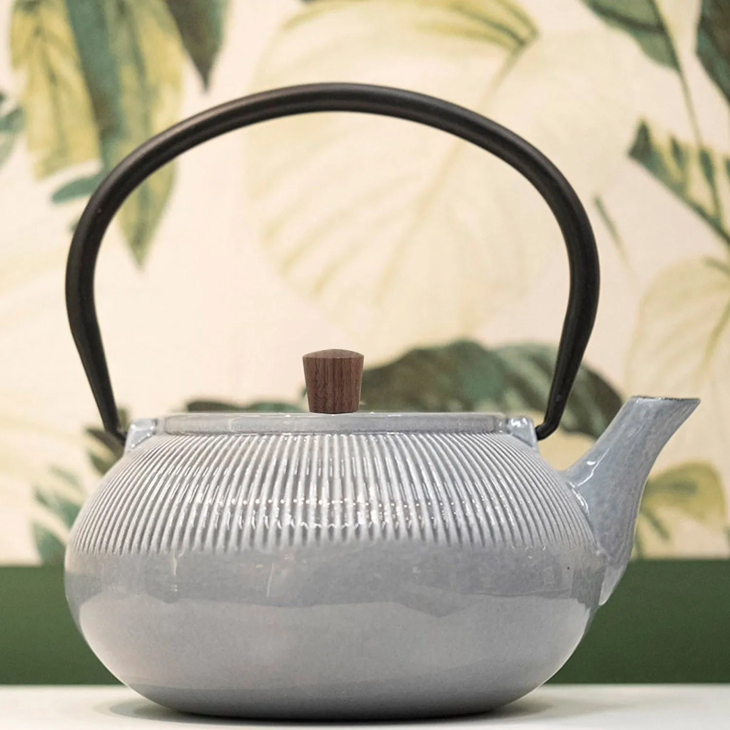 Minimal Enamelled Cast Iron Teapot