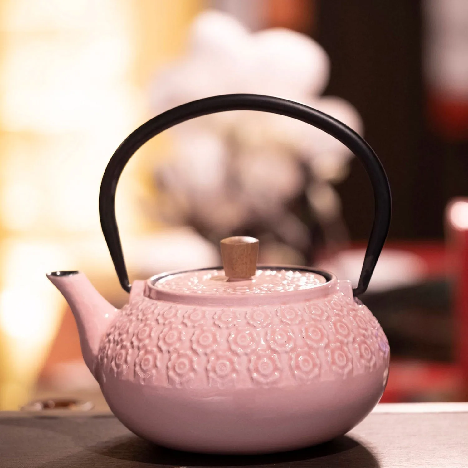 Minimal Enamelled Cast Iron Teapot