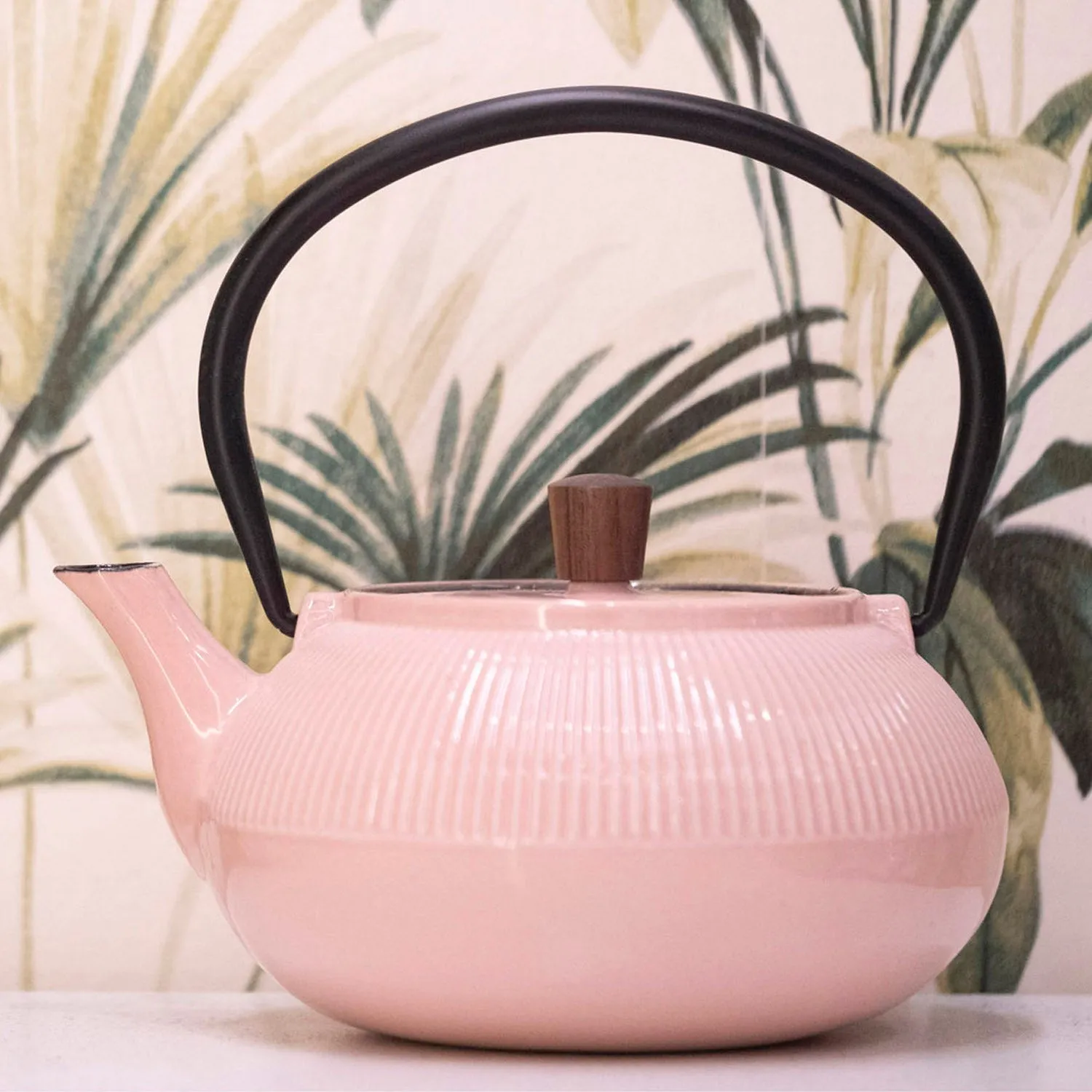 Minimal Enamelled Cast Iron Teapot